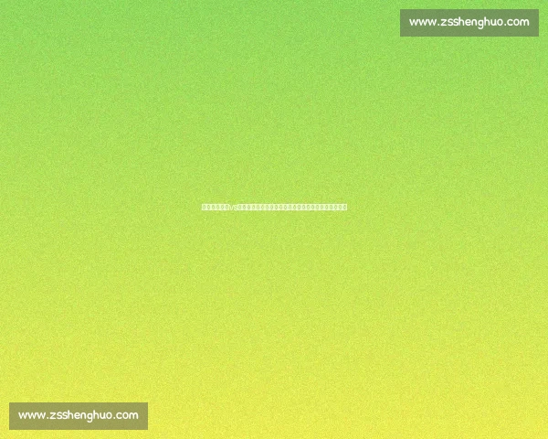 巅峰对决回顾vs麦迪魔术时代的传奇瞬间与赛场荣光经典战役全景解析